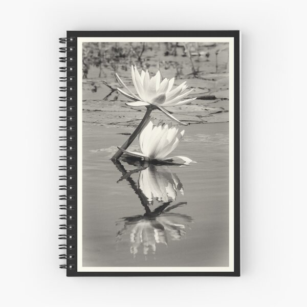 Item preview, African Water Lillys On The Chobe River designed and sold by Robert Kelch, M.D..