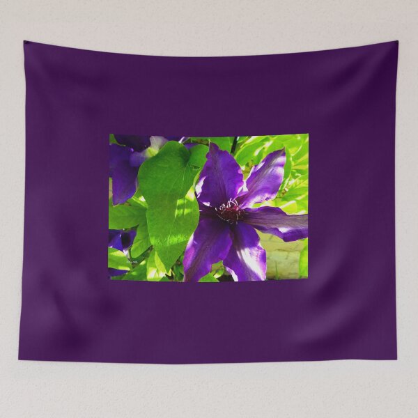 Item preview, Sun dappled Clemetis designed and sold by LeRoyM.