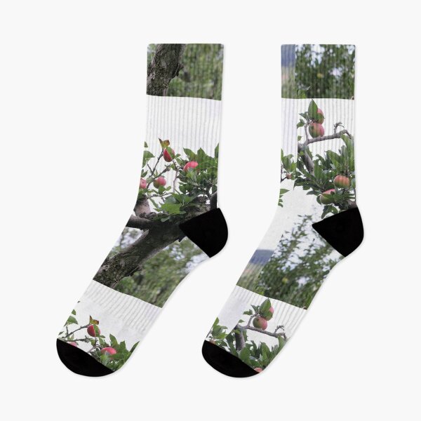 Item preview, Apple Tree designed and sold by pinkal.