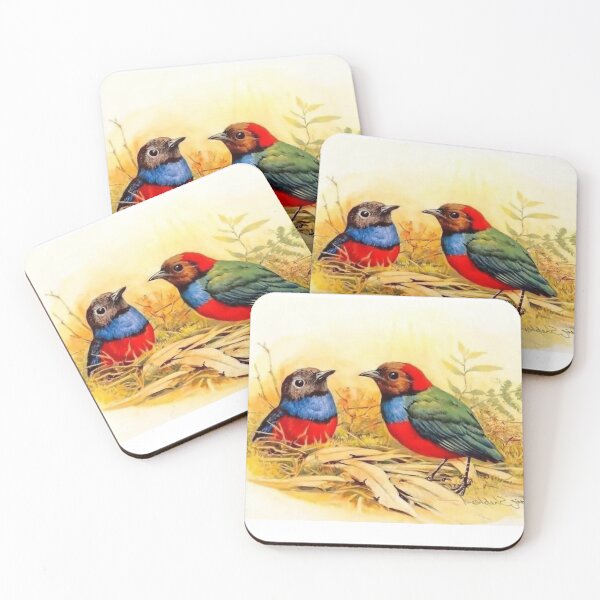 Item preview, Ingeniously painted bird pictures, lifelike. Picture 22 is so beautiful! designed and sold by zenger2021.
