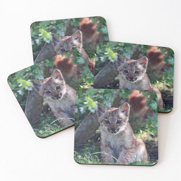 Item preview, An Adorable Lynx Kitten designed and sold by Karen Thomson.