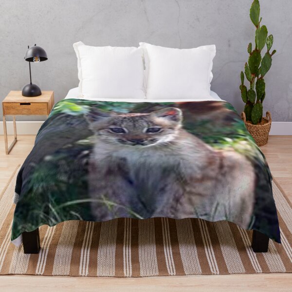 Item preview, An Adorable Lynx Kitten designed and sold by Karen Thomson.