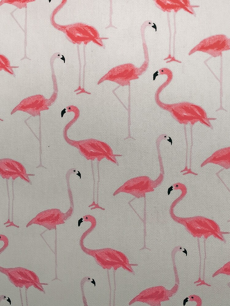 Pink Plumage Birds by Claudiocmb