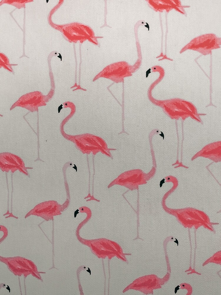 Pink Plumage Birds by Claudiocmb