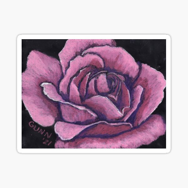 Blooming Pink Rose Sticker