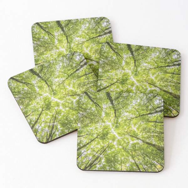 Item preview, Looking up into the trees designed and sold by RavenPhotoUK.