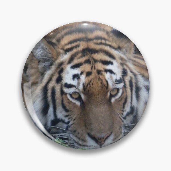Item preview, VIENNESE TIGER designed and sold by RachelMacht.
