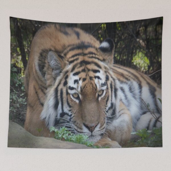 Item preview, VIENNESE TIGER designed and sold by RachelMacht.
