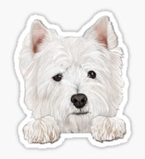 Oscar Sticker