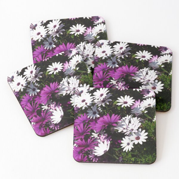 Item preview, Osteospermum; African Daisies designed and sold by wiggyofipswich.
