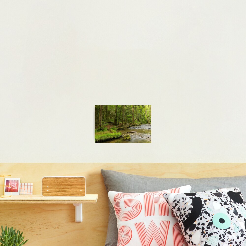 Herisson river in Jura forest Photographic Print