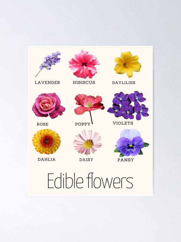 "Edible flowers, Cottagecore, flowers" Poster for Sale by