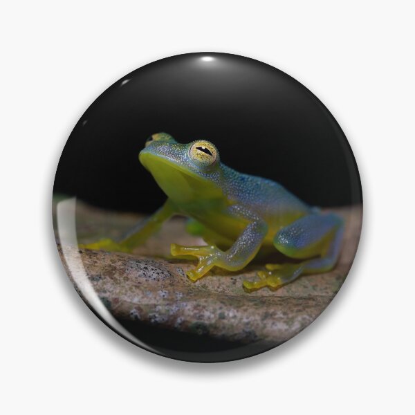 Item preview, Granular Glass Frog designed and sold by mlorenz.