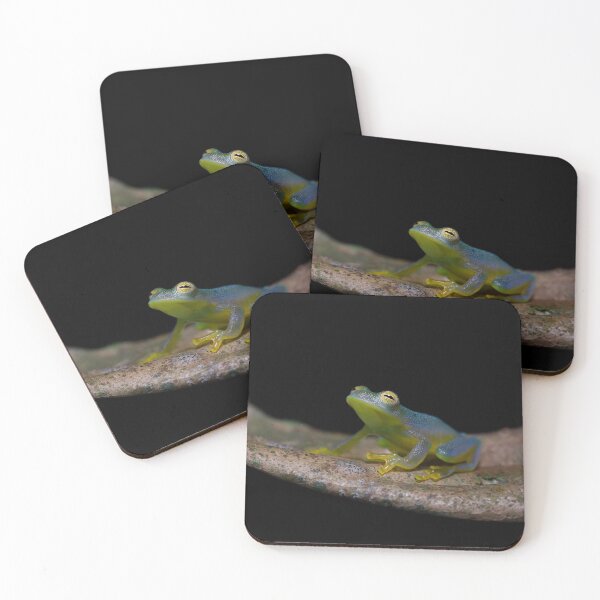 Item preview, Granular Glass Frog designed and sold by mlorenz.