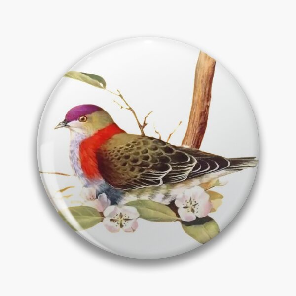 Item preview, Ingeniously painted bird pictures, lifelike. Picture 23 is so beautiful! designed and sold by zenger2021.