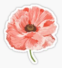 Red Poppy 3 Sticker