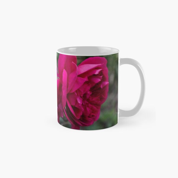 La Belle poque Tasse (Standard)