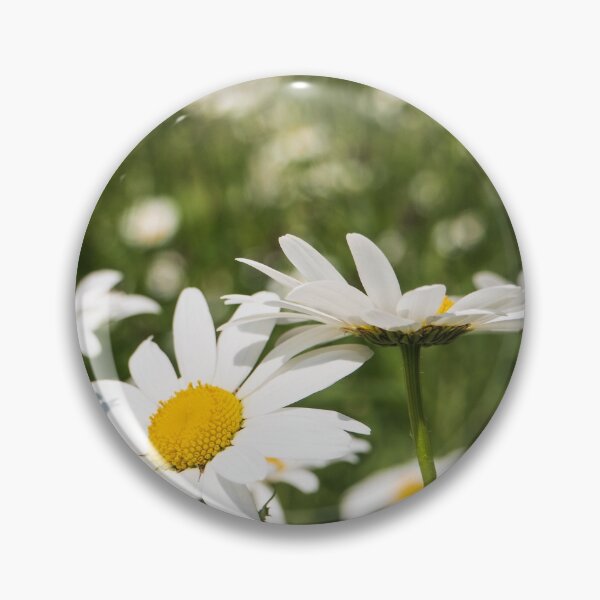 Item preview, A field of daisies designed and sold by Josie Gilbert.