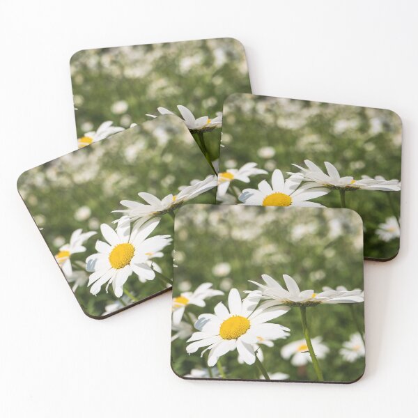 Item preview, A field of daisies designed and sold by Josie Gilbert.