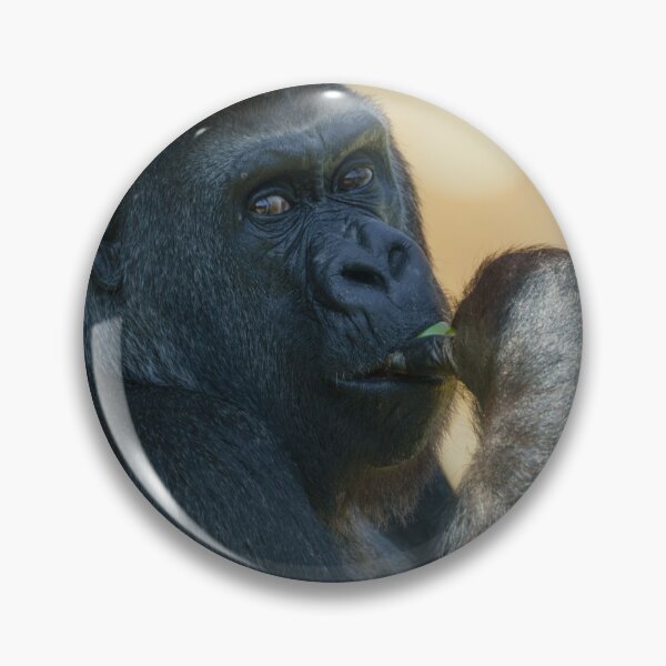Item preview, Beautiful Gorilla Lady designed and sold by rawshutterbug.
