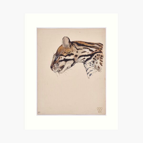 Item preview, Margay Cat designed and sold by WCS-Archives.