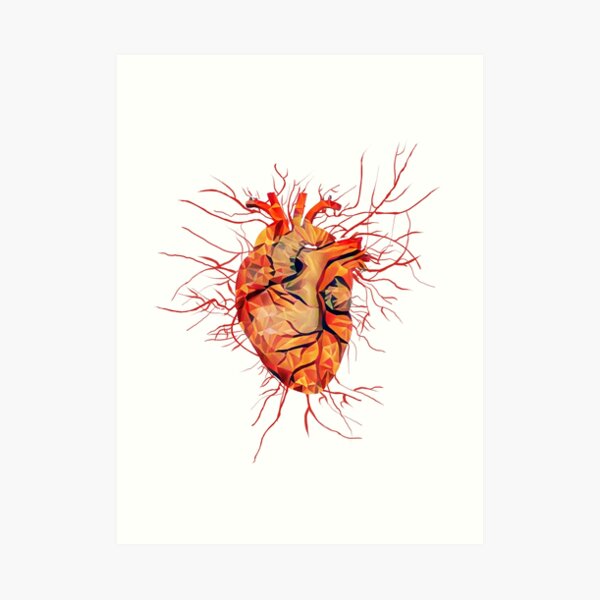 Anatomical Heart Human Anatomy Artery Lowpoly Geometric Style Art Print For Sale By 6438