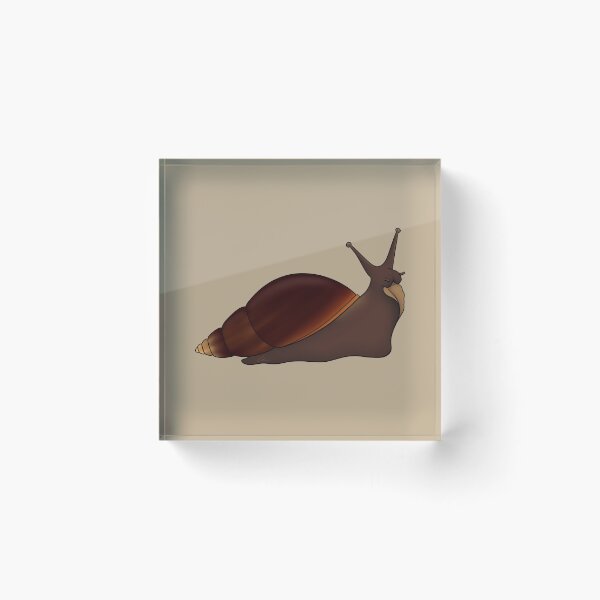Item preview, Giant African Land Snail, Achatina fulica, normal designed and sold by anacecilia.