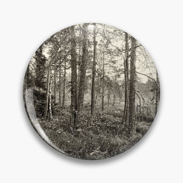 Artikelvorschau, Kiefern des Sumpflandes bw entworfen und verkauft von Jouko Lehto Photography.