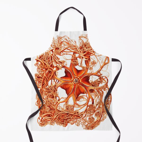 Item preview, RED BASKET STAR Gorgonocephalus Arcticus Seastar designed and sold by BulganLumini.