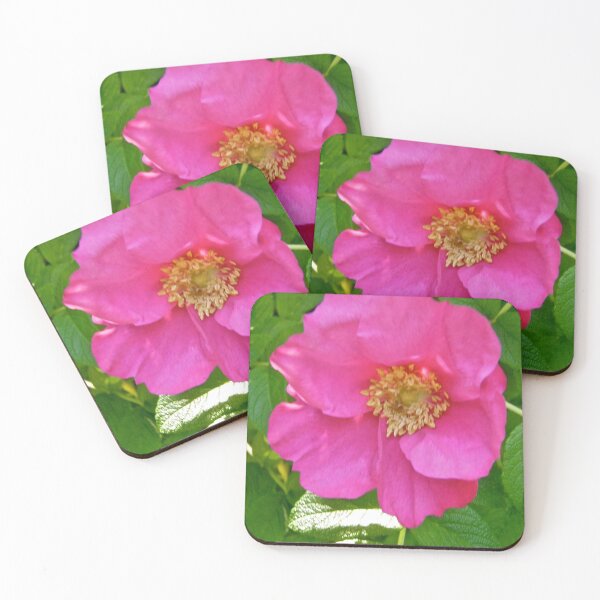 Item preview, Wild Rose designed and sold by Shulie1.
