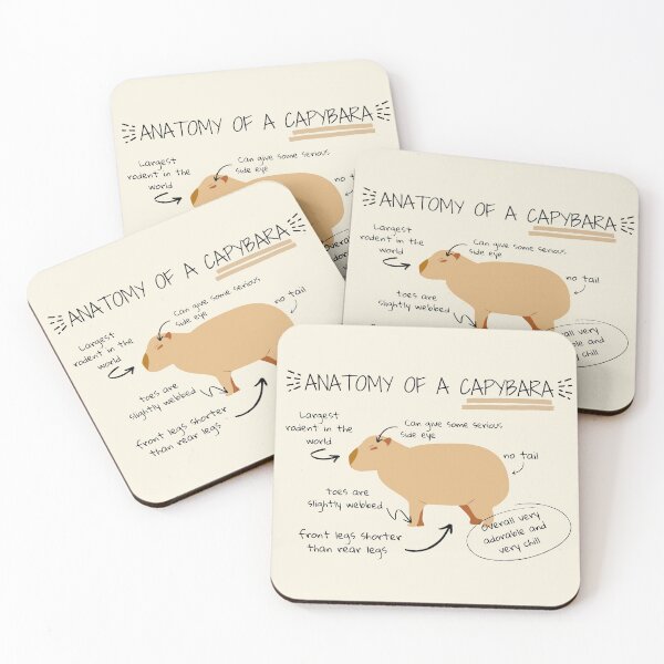 Item preview, Anatomy of a capybara designed and sold by sunnySaraV.