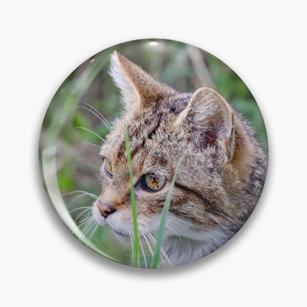 Item preview, A Beautiful Scottish Wildcat designed and sold by Karen Thomson.