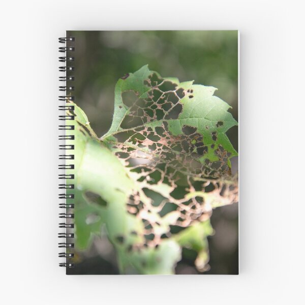 Item preview, Eaten Leaf designed and sold by Kendra Kantor.