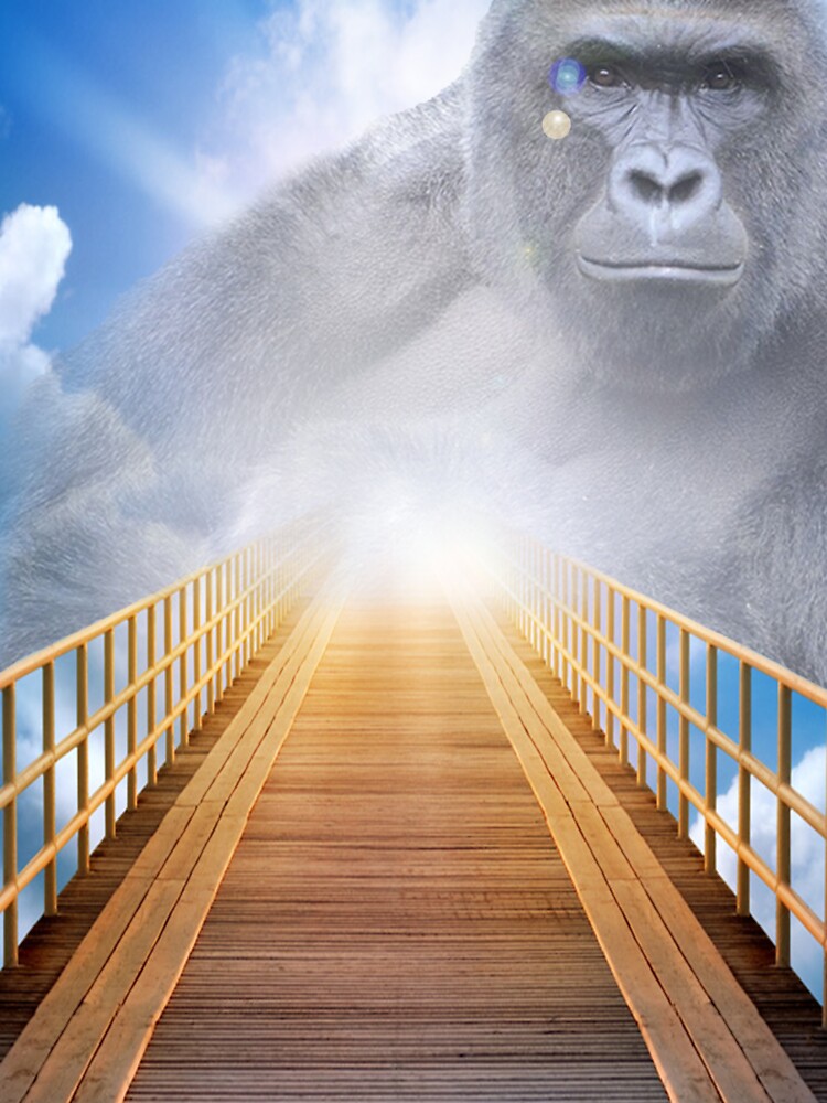 Harambe by Snatac