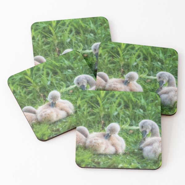 Item preview, Little Preening designed and sold by Owed To Nature.