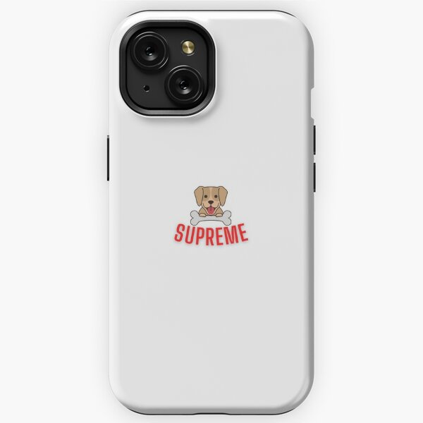 Not Supreme X Stussy Collab iPhone 12 Mini, iPhone 12