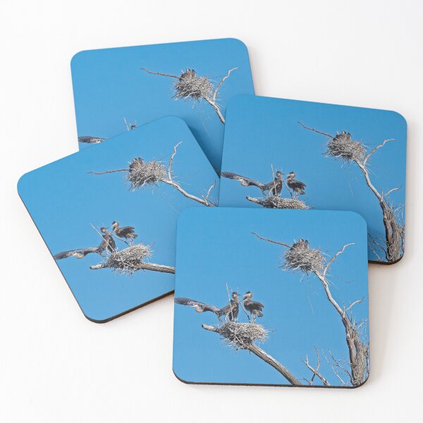 Item preview, Heron on Nests 10 - UW Arboretum, Madison, WI designed and sold by StevenRalserPhoto.