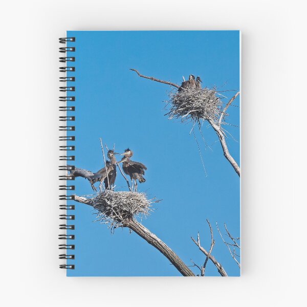 Item preview, Heron on Nests 10 - UW Arboretum, Madison, WI designed and sold by StevenRalserPhoto.