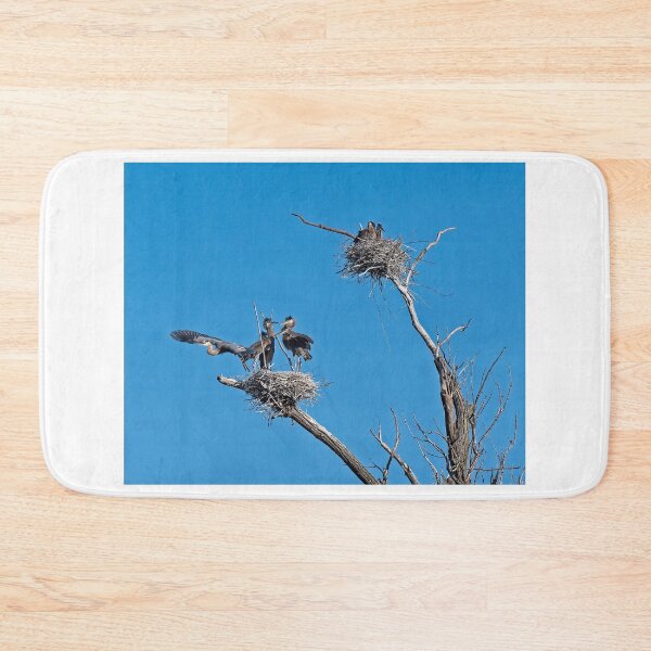 Item preview, Heron on Nests 10 - UW Arboretum, Madison, WI designed and sold by StevenRalserPhoto.