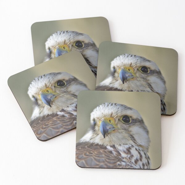 Item preview, Falcon designed and sold by Angela Watts.