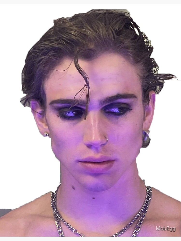 Póster «vinnie hacker tiktok tendencia selfie» de MobEgg Redbubble