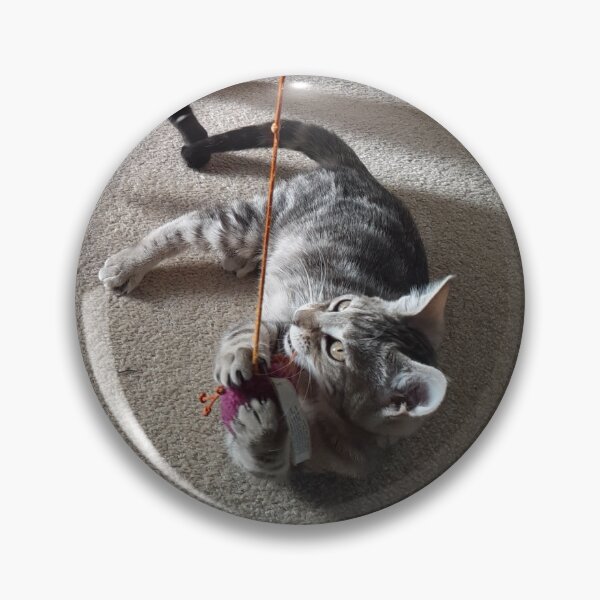 Item preview, Canto with a toy designed and sold by Cat-yawns.
