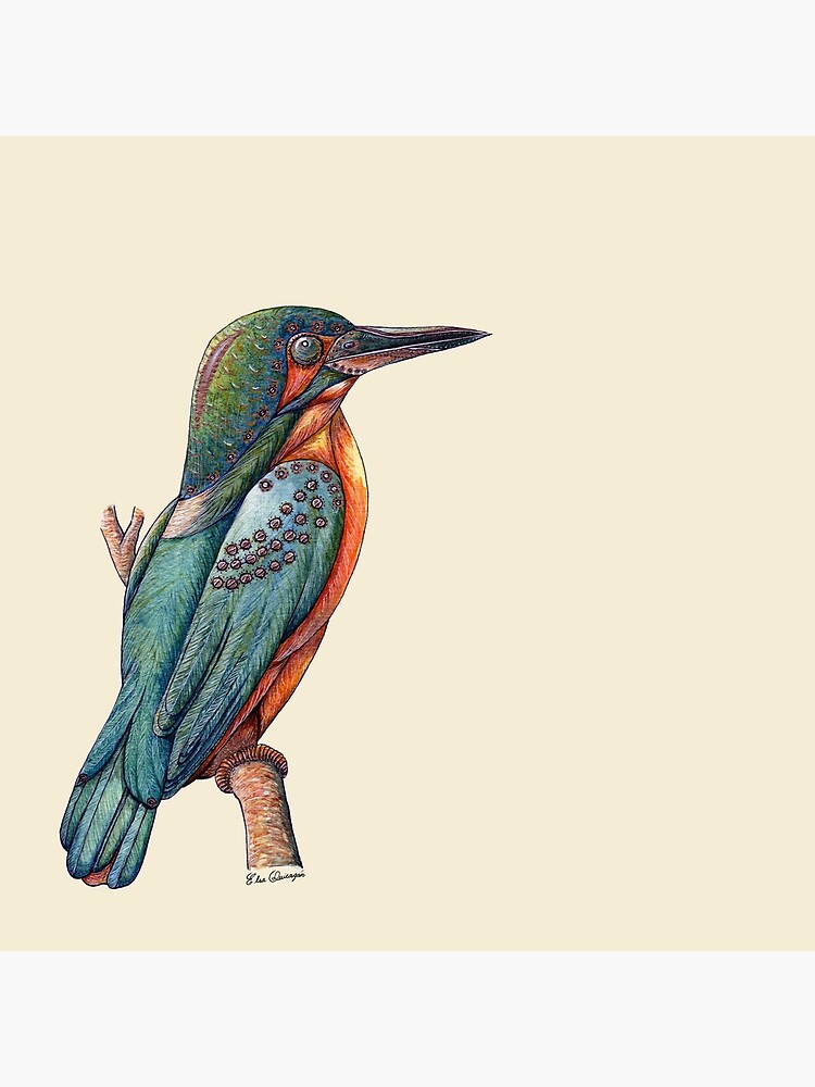 Kingfisher Bird by Bioinspirada