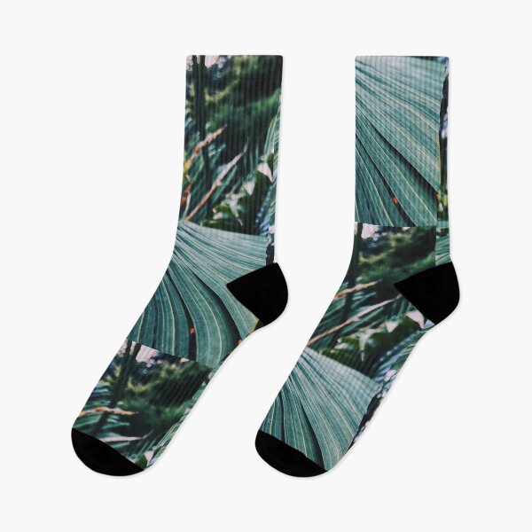 Item preview, Palm Tree Leaf designed and sold by alexlikeart1.