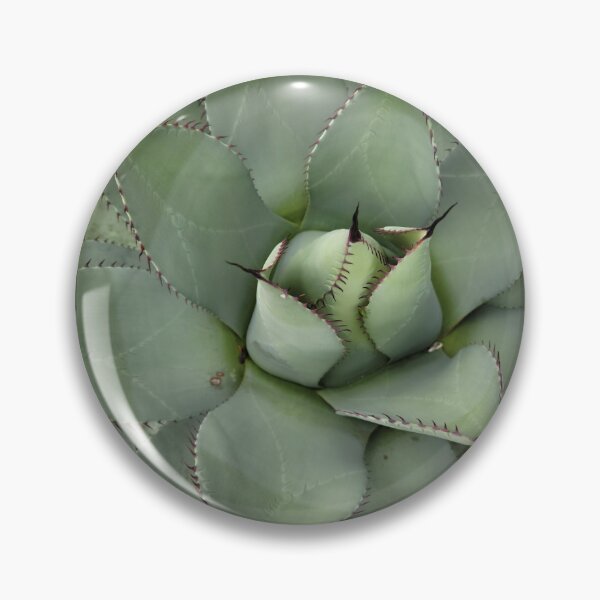 Item preview, Spiky Succulent  designed and sold by Djjin66.