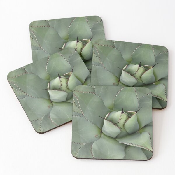 Item preview, Spiky Succulent  designed and sold by Djjin66.