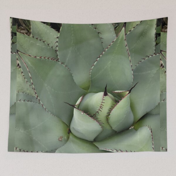 Item preview, Spiky Succulent  designed and sold by Djjin66.