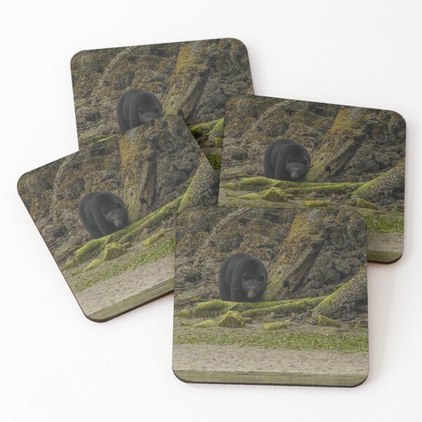 Item preview, Black Bear of Vancouver Island designed and sold by ArtWild.
