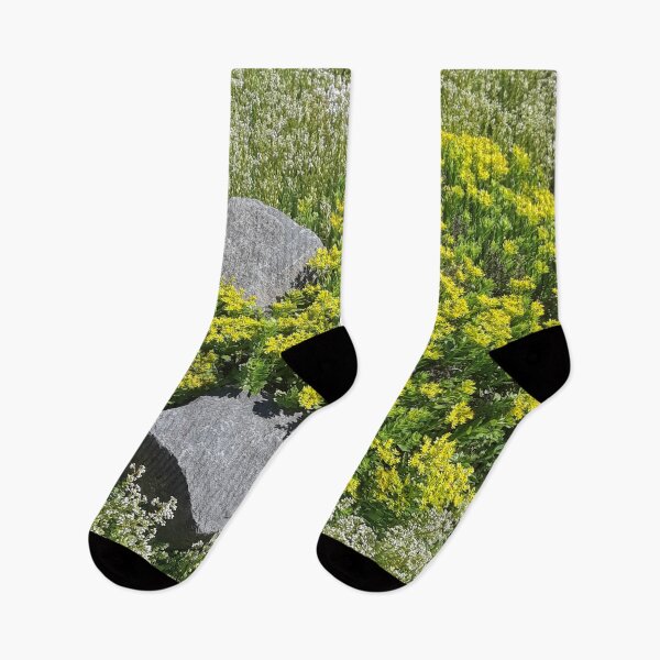 Artikelvorschau, Blumenbeete und Gartensteine entworfen und verkauft von MulesParty.