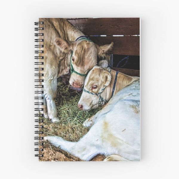Item preview, Judgment Day - Fryeburg Fair designed and sold by T.J. Martin.